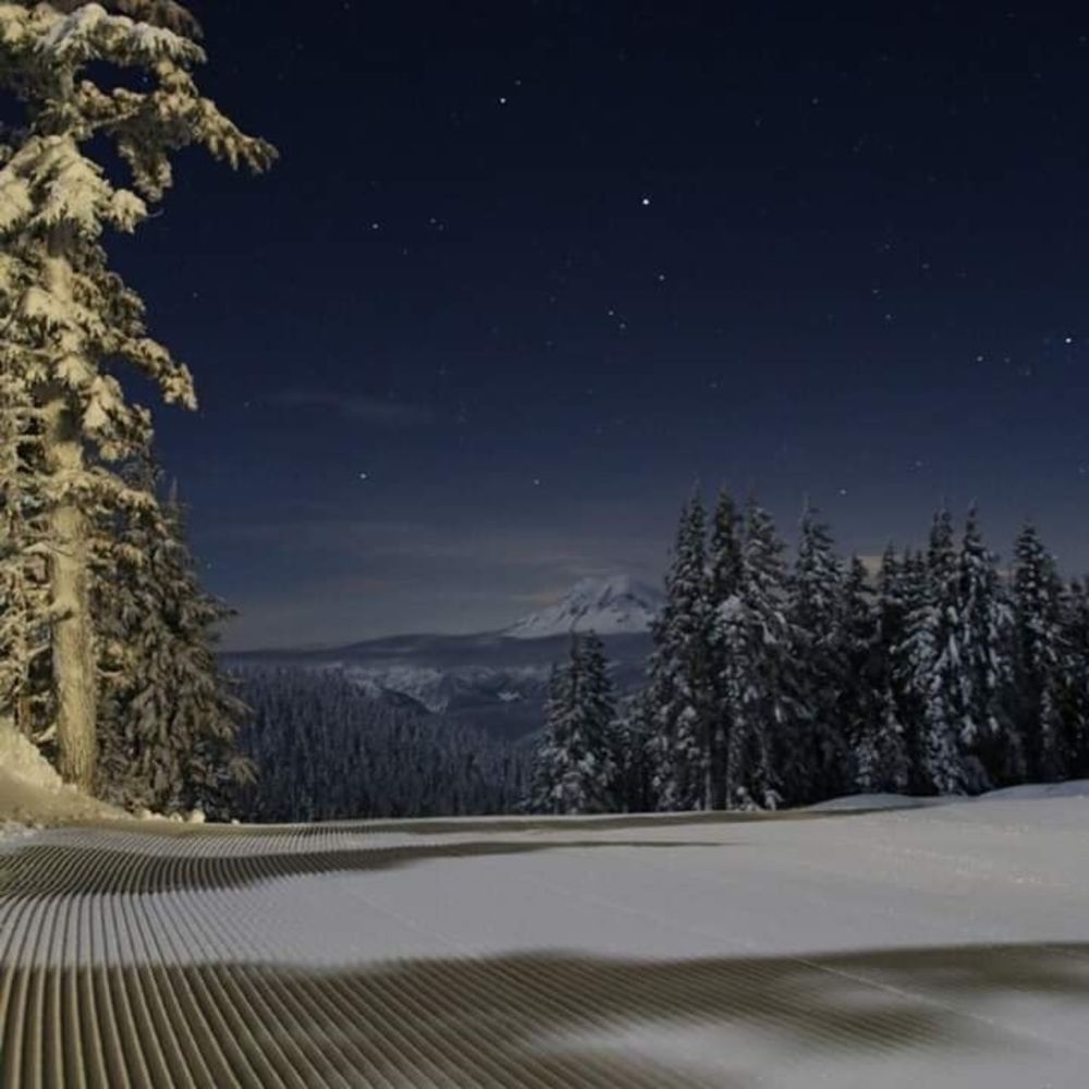 Meet your Posher, Coby